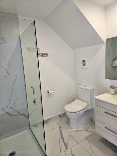 a bathroom with a shower and a toilet at Beachside Townhouse in Christchurch