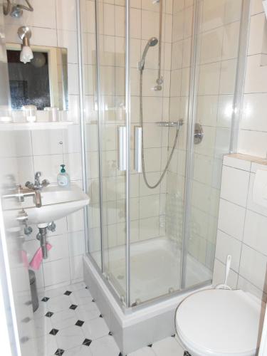 a bathroom with a shower and a toilet and a sink at Studio apartman Kata Nin in Nin