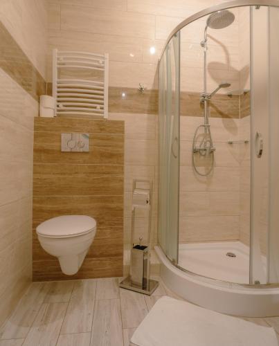 a bathroom with a toilet and a shower at Siedlisko Pod Dębem in Wilimy