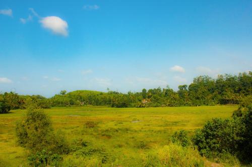 a field of grass with trees in the background at Cieloblu In Hotel Matara in Palatuwa