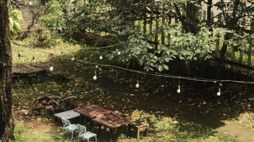 a picnic table and chairs under a tree with lights at Sum Villa Homestay Mang Den in Kon Von Kla