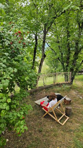 a woman sitting in a lawn chair with a dog at Art Racha in Ambrolauri