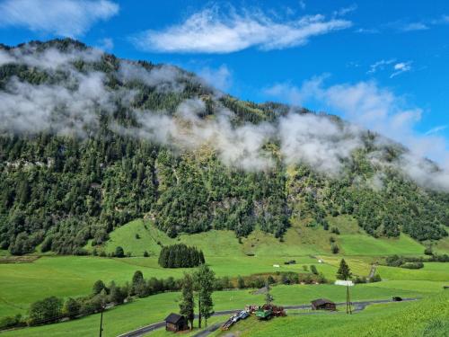 a mountain with green fields and trees at Kleintierhof Seidl-Eder in Rauris