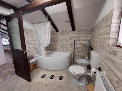 a bathroom with a tub and a toilet and a sink at Casa David in Gura Hangului