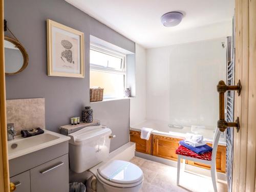 a bathroom with a toilet and a sink at Bwthyn Bach in Porthmadog