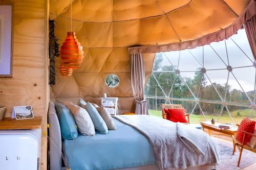 ein Schlafzimmer mit einem Bett und einem großen Fenster in der Unterkunft Incredible Dome Getaway on a Vineyard Perfect for Glamping, Tasmania in Sidmouth