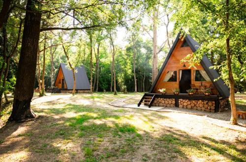 Foto Forest Houses Odra 4