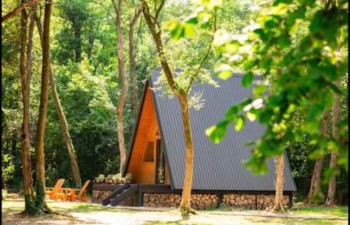 Foto Forest Houses Odra 6