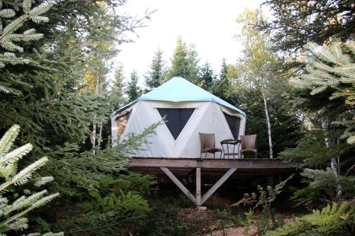 Κήπος έξω από το Yurt Nestled in Nature on Community in Nova Scotia, Canada