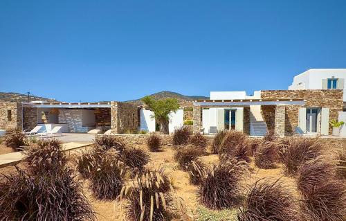 a house in the middle of a field of plants at Farous seaside sunset villa in Agios Georgios