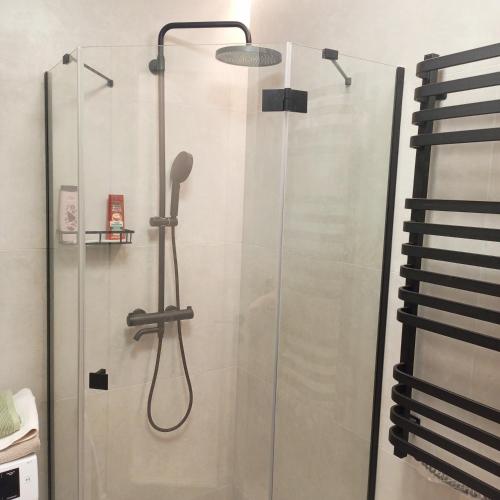 a shower in a bathroom with a glass door at New apartment near the PALM tree in Uzhhorod