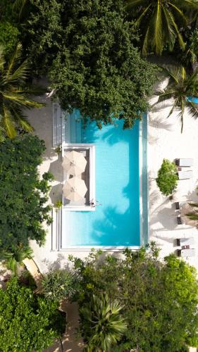 an overhead view of a swimming pool with a blue door at Alma Boutique Hotel in Jambiani