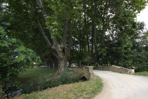 a stone wall next to a road with trees at Mas Loisonville - Demeure d'exception & Spa en Drôme Provençale in Grillon