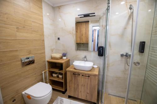 a bathroom with a toilet and a sink and a shower at Aqua Lux apartmani 1 in Vršac