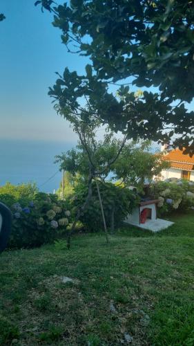 Crystalias country house