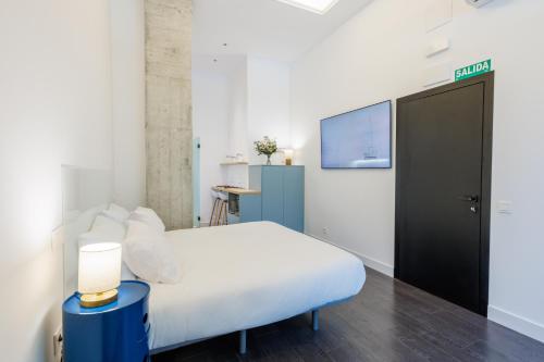 a bedroom with a bed and a flat screen tv at WE MADRID STUDIOS centro in Madrid
