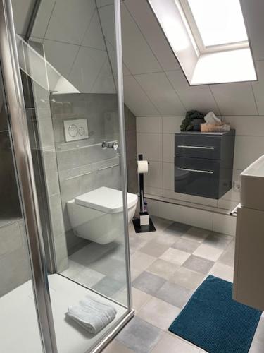 a bathroom with a shower with a toilet and a sink at Ferienwohnungen Kutscherschänke in Bad Zwischenahn