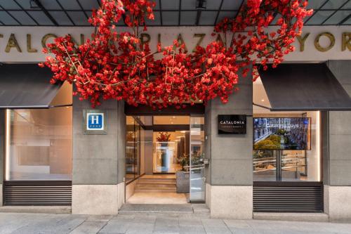 a store front with red flowers hanging from it at Catalonia Plaza Mayor Salamanca in Salamanca