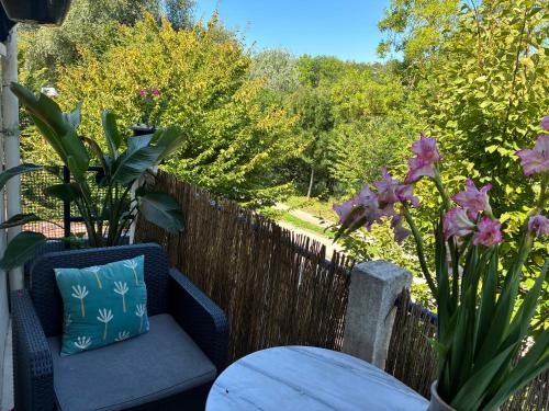 Chez iris