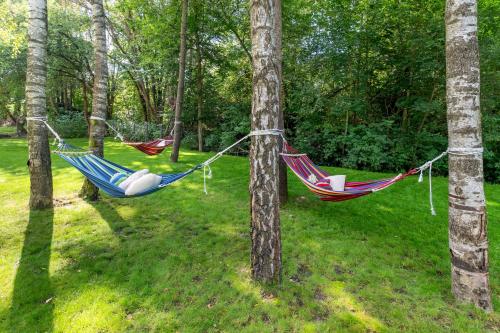 Jardín al aire libre en Wśród Zieleni