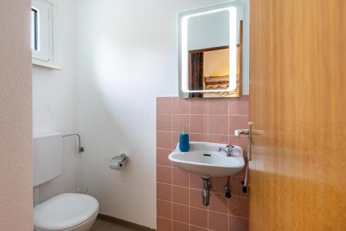 a bathroom with a toilet and a sink and a mirror at Haus Wiesengrund - Hundefreundlich in Gammertingen