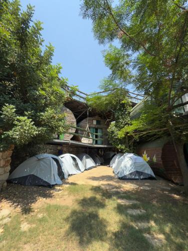 Fotografie z fotogalerie ubytování Mandala Camping v destinaci Faralya