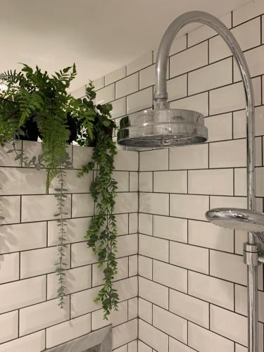 a bathroom with a plant hanging from a wall at B&B Loft 57 in Amsterdam