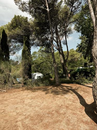 a yard with two trees and a dirt field at Camping Santa Elena in Lloret de Mar