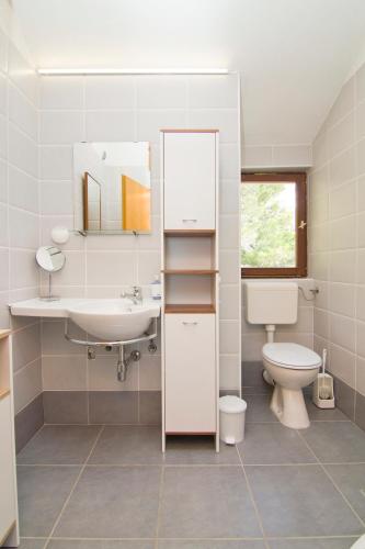 a bathroom with a sink and a toilet and a mirror at Apartment Botta in Mimice