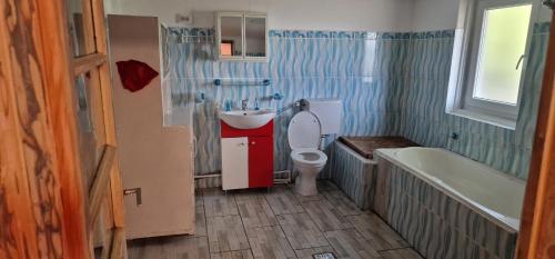 Fotografie z fotogalerie ubytování Casa bunicilor- liniștea prispei, răcoarea beciului și aerul poianei v destinaci Urseiu