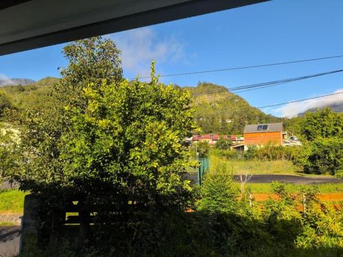 a view of a tree from a window at L'Etoile Velli in Salazie