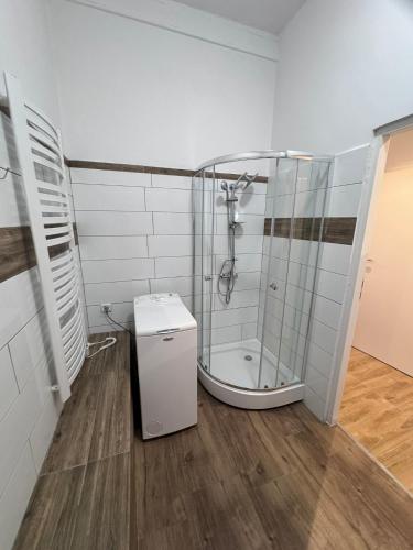 a bathroom with a shower and a toilet at Na Alei in Janowice Wielkie