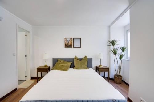 Compact Chiado Spacious and Exceptional in Lisbon
