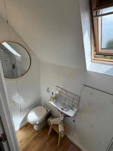a bathroom with a toilet and a sink and a mirror at The Annexe @ Mandalay Lodge in Medstead