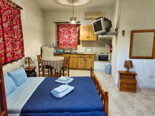 Кухня или мини-кухня в Akrata Golden Beach House 3
