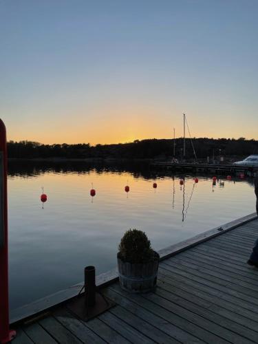 a view of a lake with red balls in the water at Strand 18b in Grebbestad