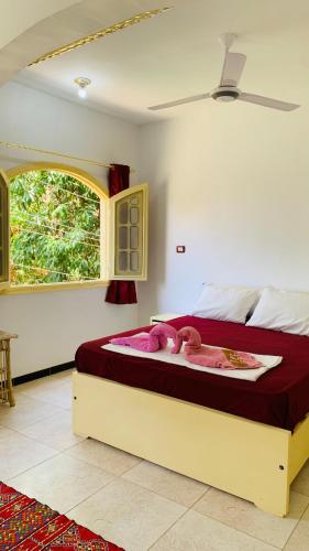 Ένα ή περισσότερα κρεβάτια σε δωμάτιο στο ABU Guest House