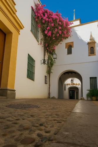 Un Tesoro en el Corazón de Córdoba