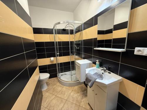 a bathroom with a shower and a sink and a toilet at VITA Augustów in Augustów