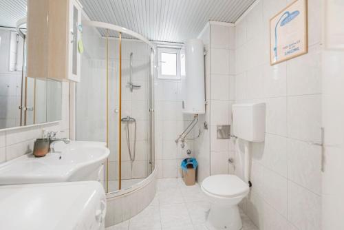 a bathroom with a shower and a toilet and a sink at Apartman Zvezda in Igalo