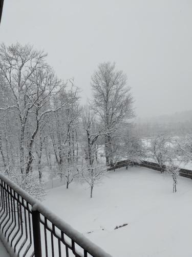 a snow covered yard with trees and a fence at дом в лесу in Patara Etseri