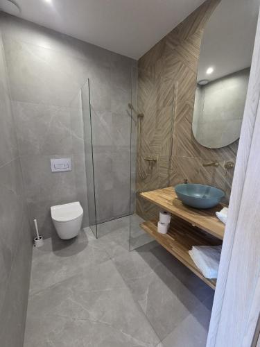 a bathroom with a toilet and a glass shower at Szept Gór in Lutowiska