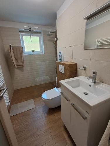 a bathroom with a white sink and a toilet at Apartmán Dukla in Pardubice