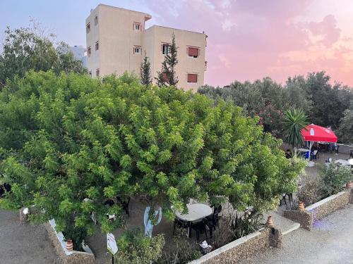 Un jardín fuera de Grand Appartement Armonía