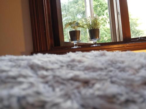two glasses sitting on a window sill with a plant at Cozy Forest View Villa with 5 Bedrooms in Jönköping