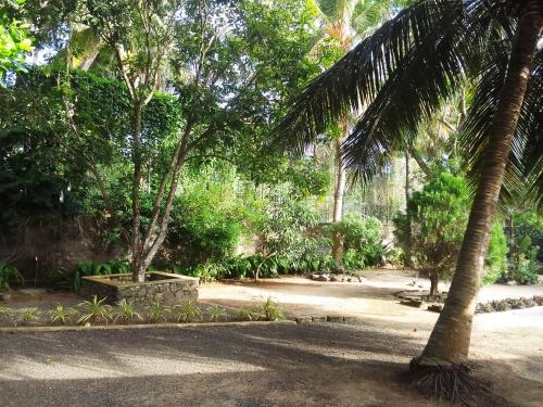 a park with palm trees and a dirt road at Savendro Villa Hikkaduwa in Hikkaduwa