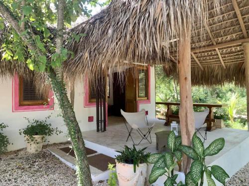 a house with a chair and a straw roof at Ki-Ra Holistic Living in Boca de Chavón
