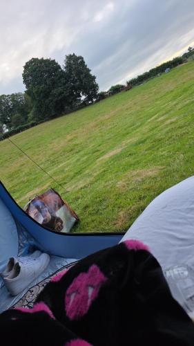 a view of a field from the inside of a tent at Tent box go in Oystermouth