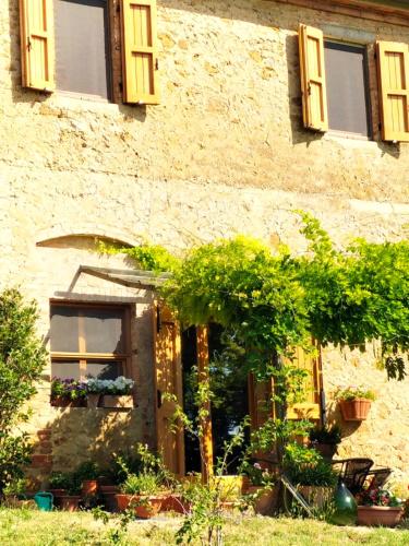 a building with a door and some potted plants at Casa Ollie in Castel San Gimignano