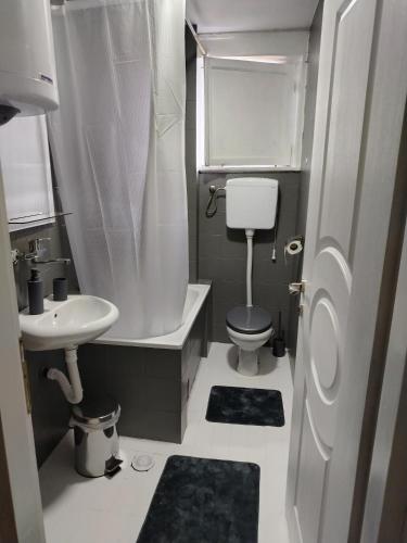 a small bathroom with a toilet and a sink at Apartman Zdravković in Leskovac